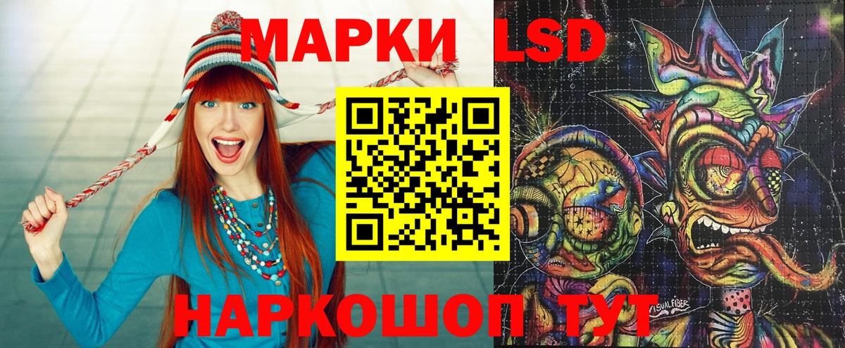 закладка  Наркотические марки 1,5мг  Вход с VPN  Камышин  Наркотические марки 1,5мг 