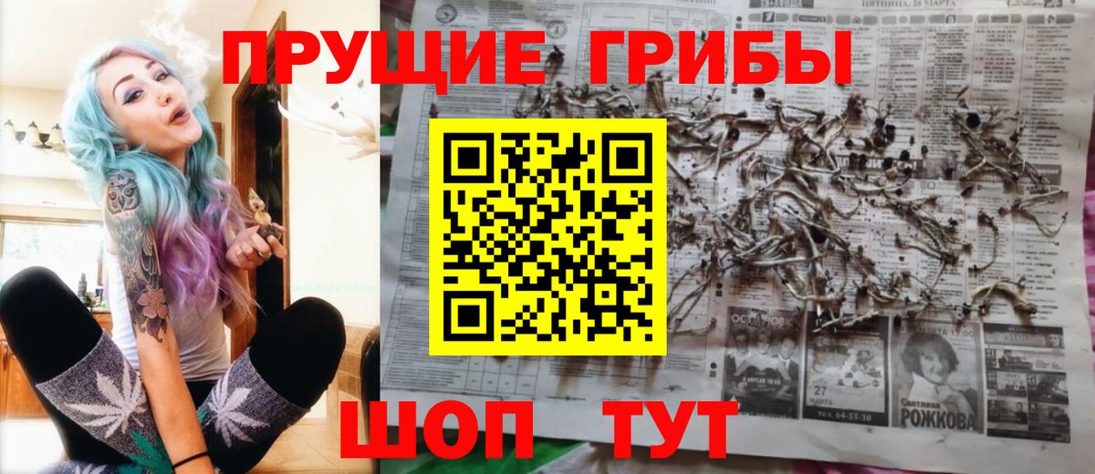 закладки  Вход с VPN  Камышин  Галлюциногенные грибы Psilocybine cubensis 