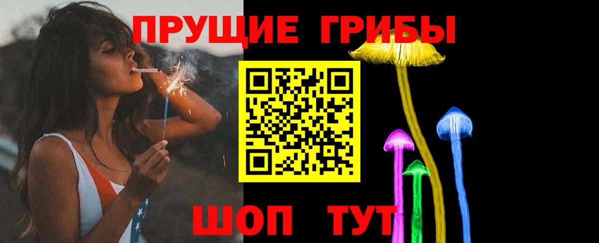 Псилоцибиновые грибы GOLDEN TEACHER Камышин